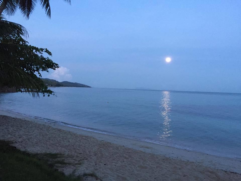 Hanalei Gardens หาดแม่น้ำ ภายนอก รูปภาพ